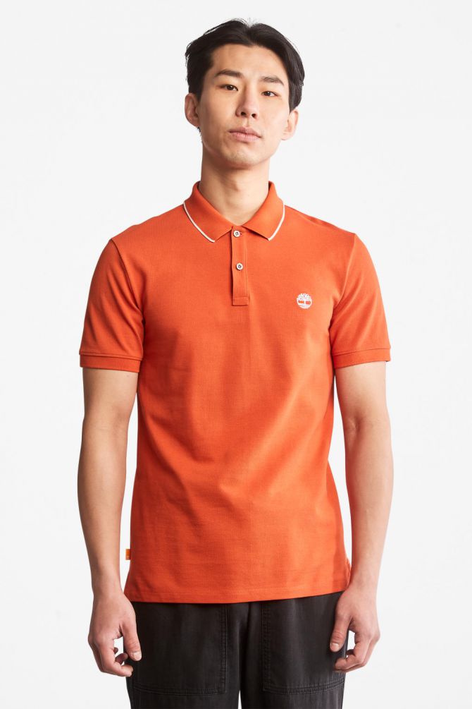 חולצת פולו Millers River עם צווארון ולוגו רקום לגברים