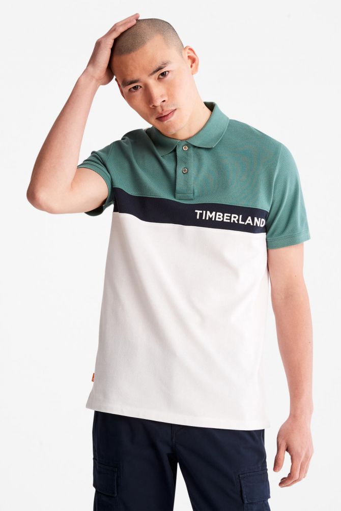 חולצת פולו בשילוב צבעים והדפס לוגו בחזית