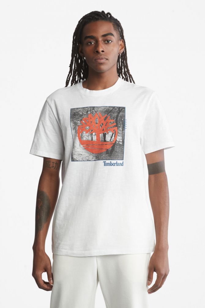 טי שירט לגבר בהדפס לוגו עם רקע