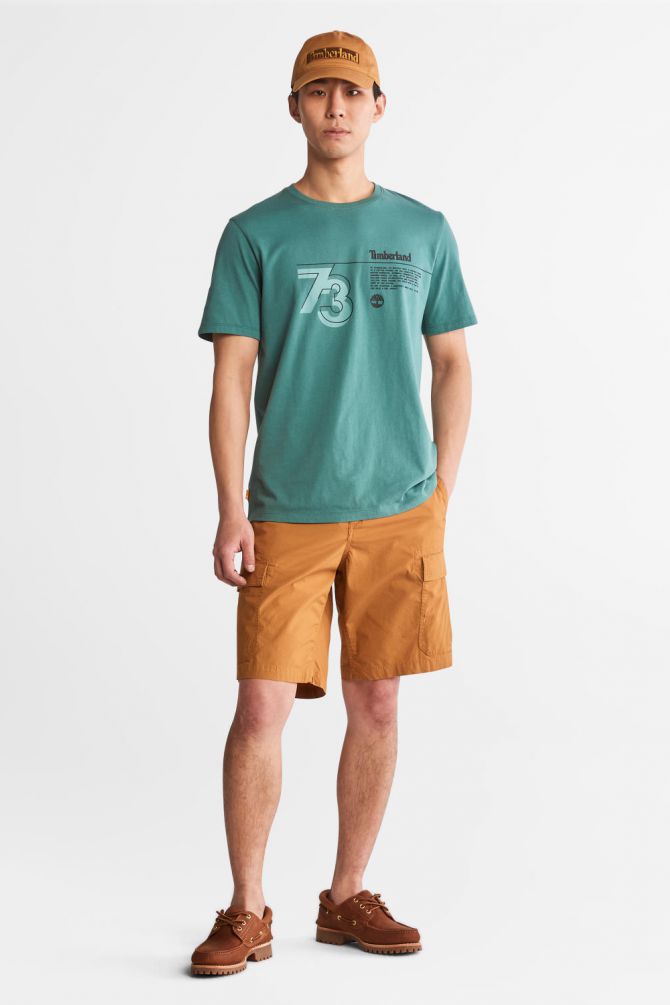 טי שירט לגבר עם הדפס  ה”סיפור של  TIMBERLAND”