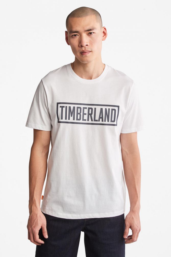 טי שירט לוגו בתוך מסגרת