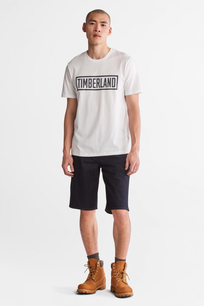 טי שירט לוגו בתוך מסגרת