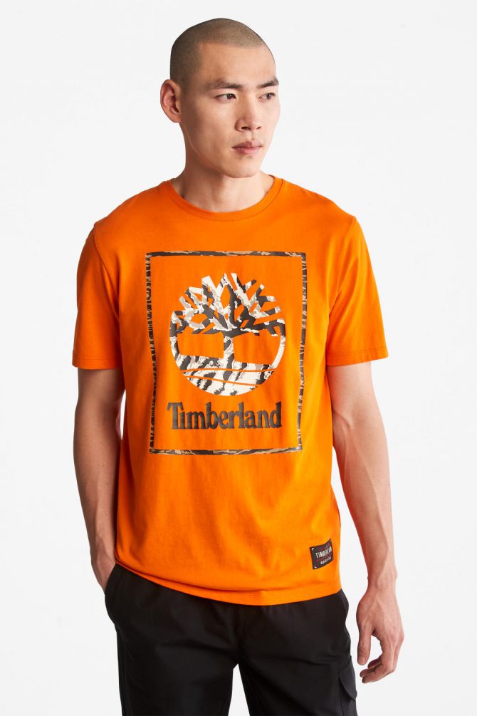 טי שירט לגבר עם לוגו ענק בתוך מסגרת