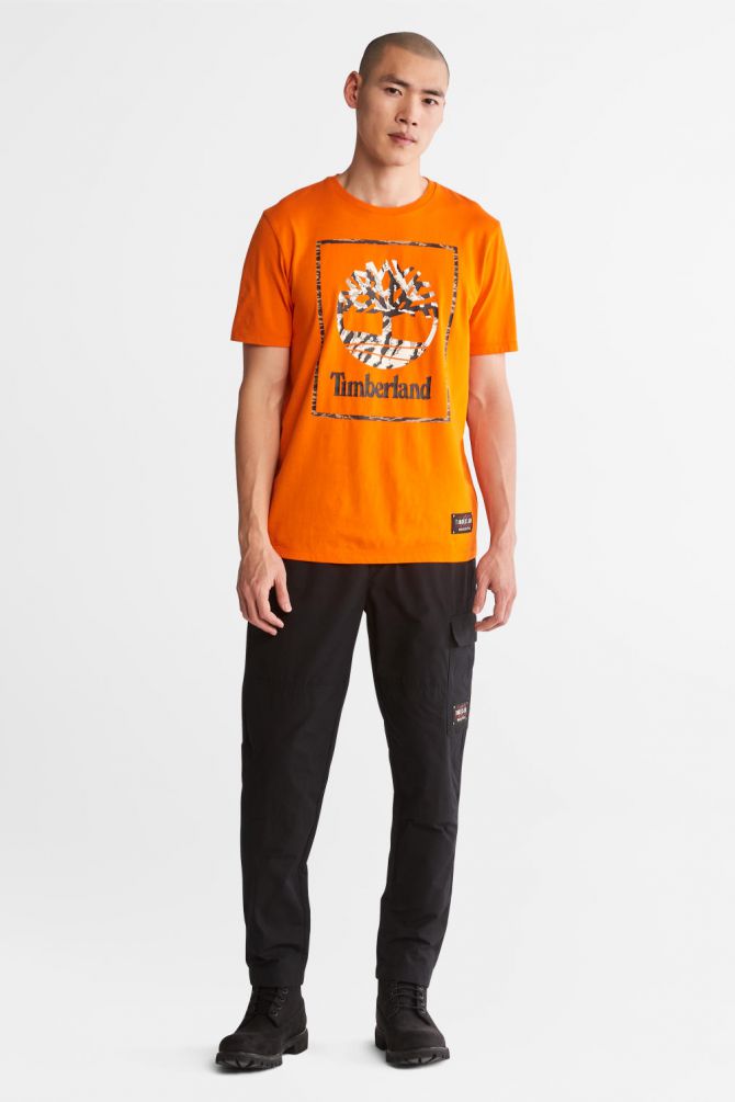 טי שירט לגבר עם לוגו ענק בתוך מסגרת