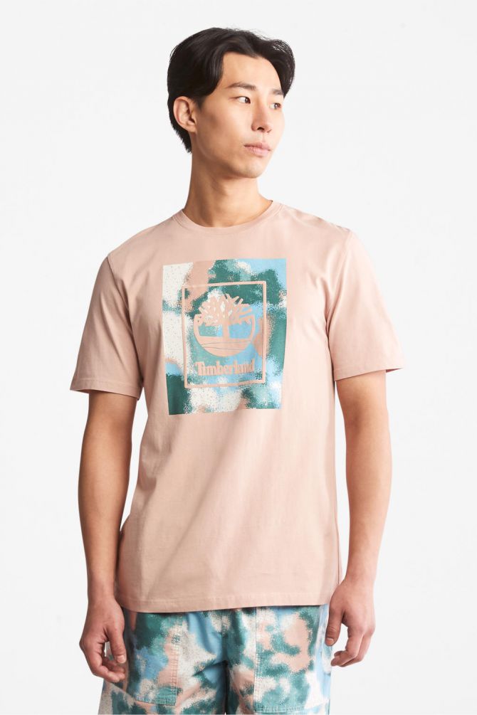 טי שירט לגבר עם הדפס לוגו על רקע צבעי  עונות