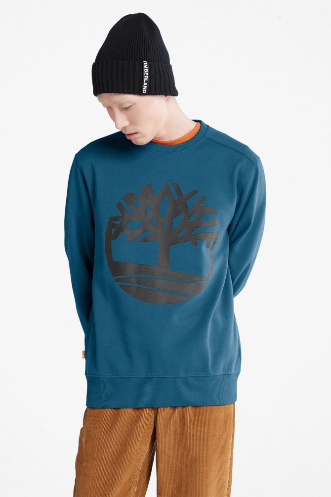סווטשירט עם הדפס לוגו עץ בחזית