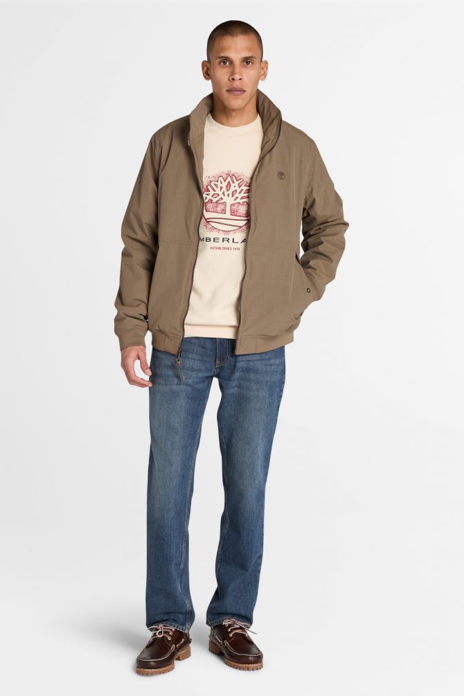 סווטשירט לגברים עם לוגו TImberland צבעוני