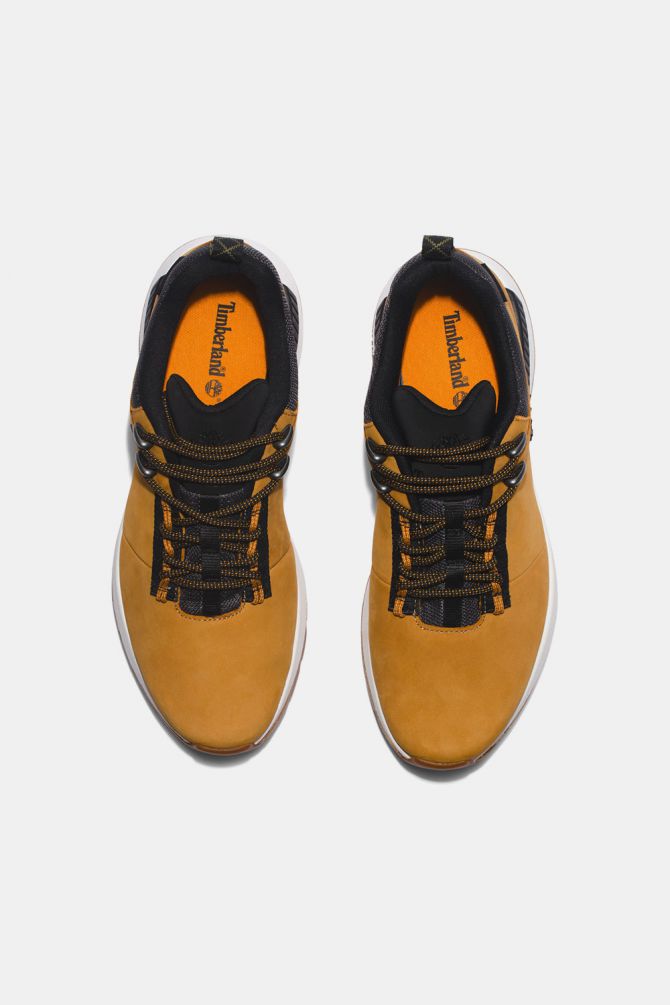 סניקרס FIELD TREKR FL LOW לגבר