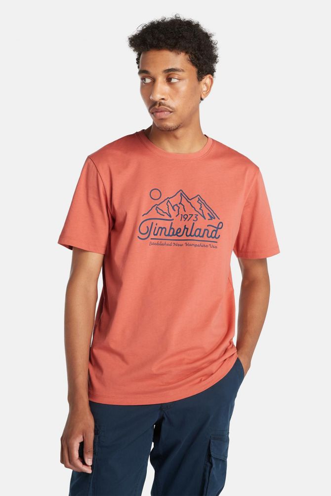 טי שירט עם הדפס MOUNTAIN לגברים