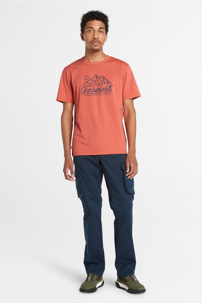 טי שירט עם הדפס MOUNTAIN לגברים