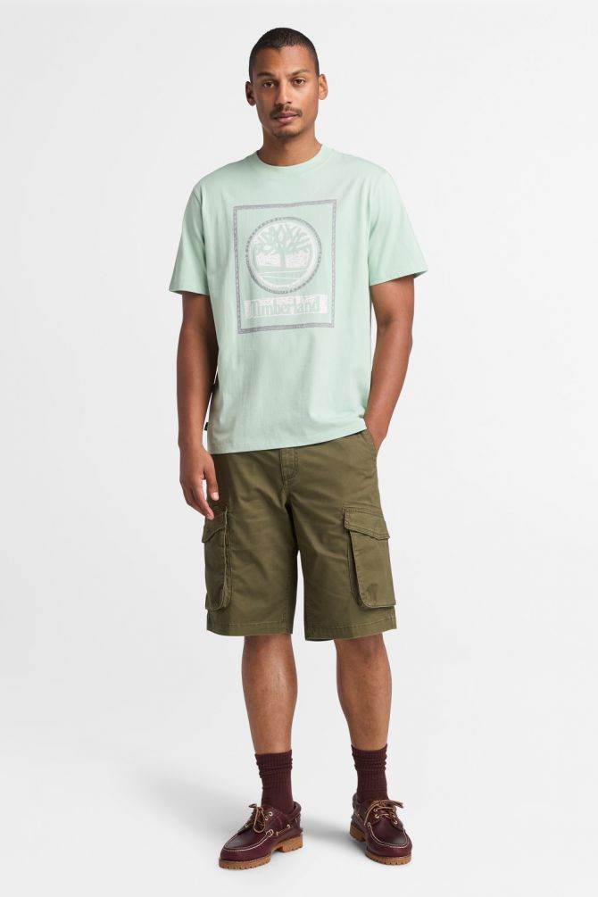 טי שירט לגברים עם שרוולים קצרים והדפס Timberland
