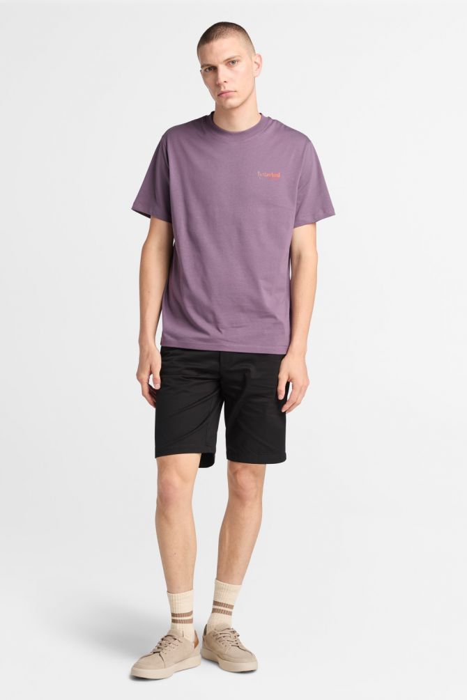 טי שירט עם שרוולים קצרים והדפס דו צדדי Timberland לגברים
