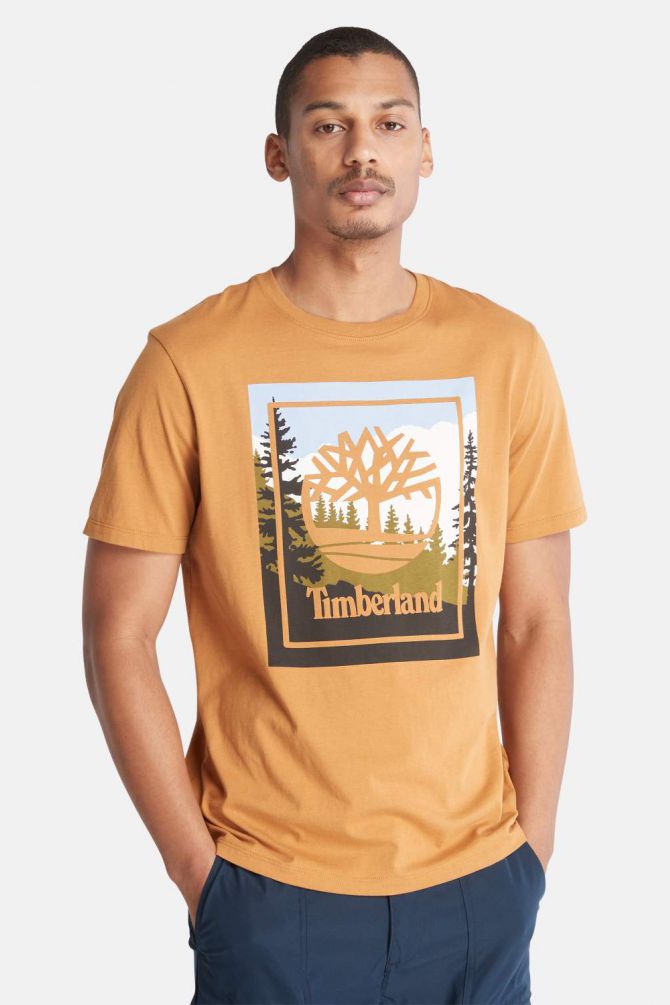 חולצה טי שירט לגבר בסגנון טבע