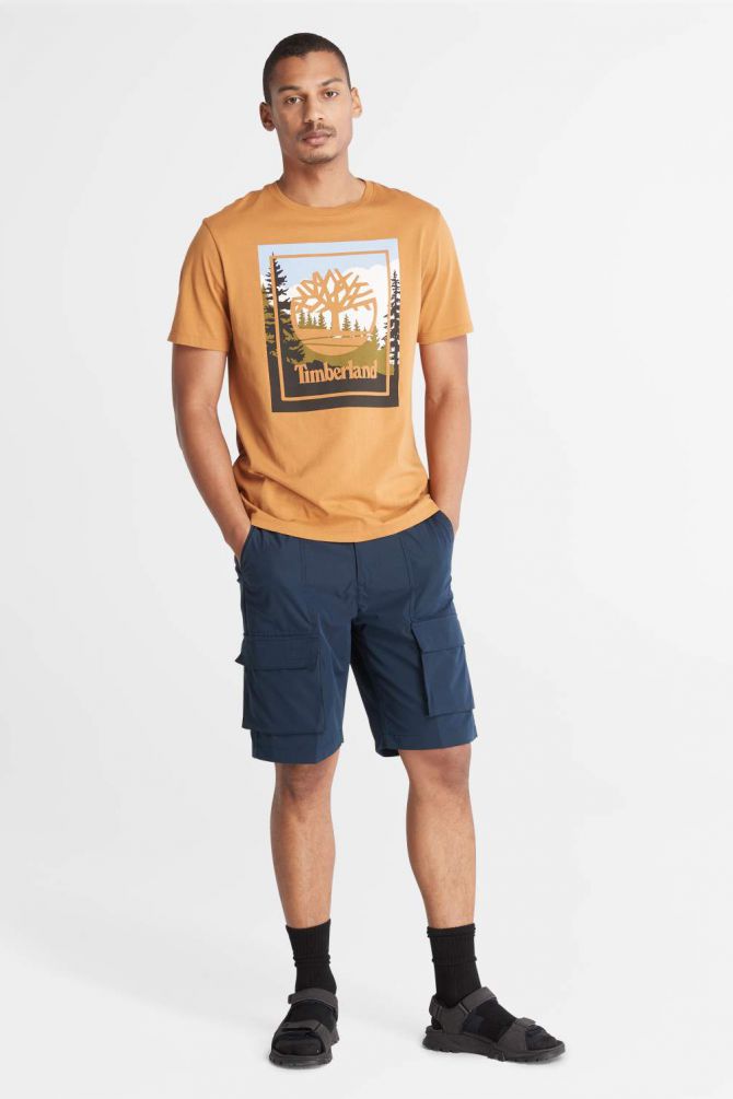 חולצה טי שירט לגבר בסגנון טבע